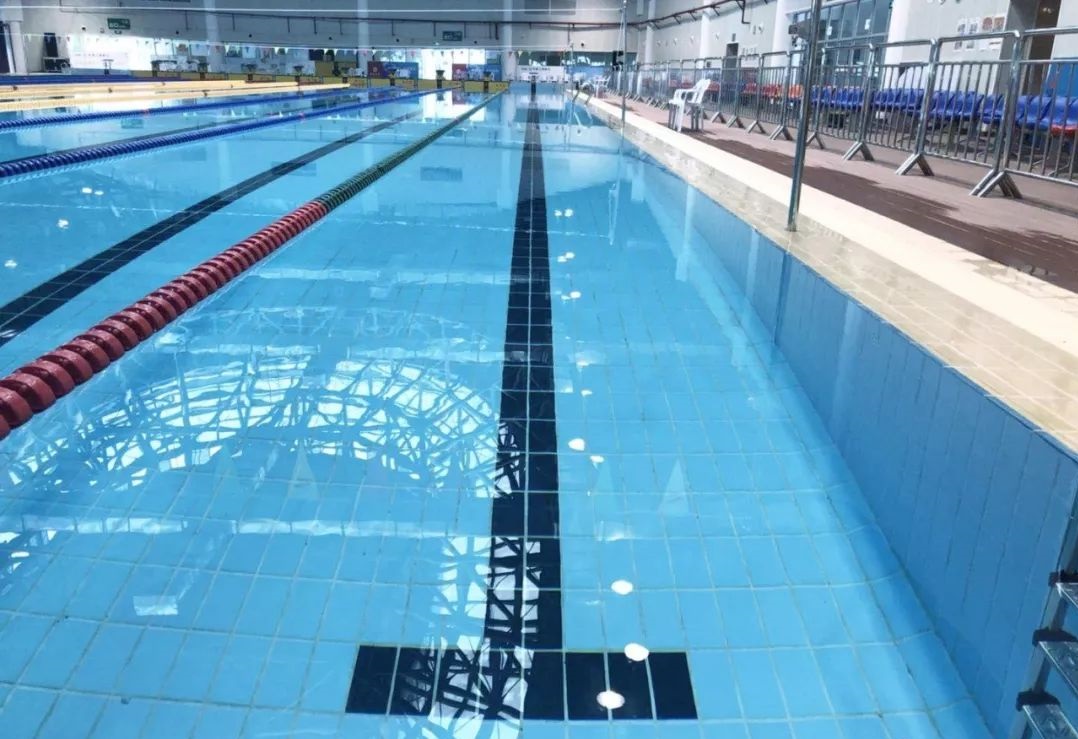 竞赛型游泳池标准泳池砖选哪种好